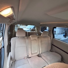 アルファッドの画像