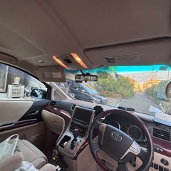 アルファッドの画像