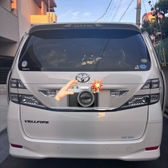 アルファッドの画像