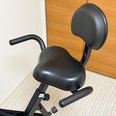 アルインコ　コンフォートバイク5322 AFBX5322 説明書付き！の画像