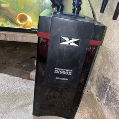 GEX９００水槽セット早者勝ちの画像