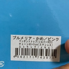 ウミガメのネックレスとハンカチの画像