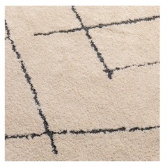 【新品未使用】NITORI ニトリ ほこりがとれやすい 洗えるラグの画像