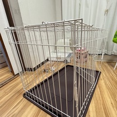 ケージ（中古)の画像