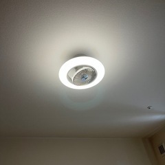 シーリングファンライト 8畳用の画像