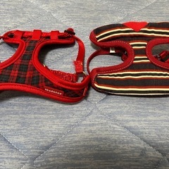 犬用SSサイズ(2〜3kg)９点の画像