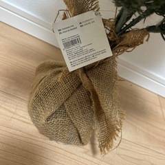 クリスマスツリー　未使用の画像