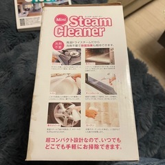 スチームクリーナーの画像
