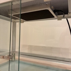 REPTI WILD パンテオン ホワイト WH4535の画像