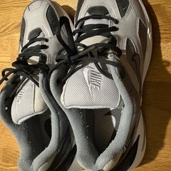 Nike スニーカー 8.5 US グレー/ブラックの画像