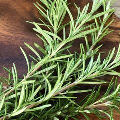 ☘️ローズマリー☘️剪定した枝の画像