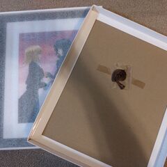 ガンダムSEED freedom　ｵｰﾌﾞ国民の証の画像