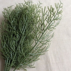 フェイクグリーン　杉　枝　クリスマス　40本（20本は600円）の画像