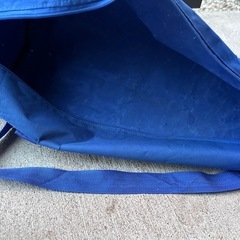 アイスドリワカサギ の画像