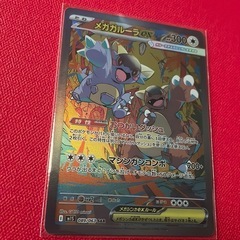 鑑賞用 ACG メガガルーラEXの画像