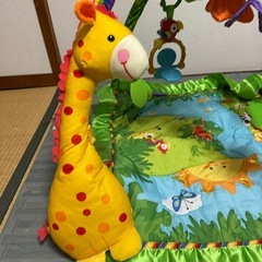 レインフォレストデラックスジムの画像