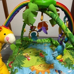 レインフォレストデラックスジムの画像