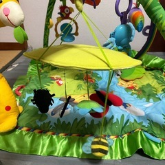 レインフォレストデラックスジムの画像