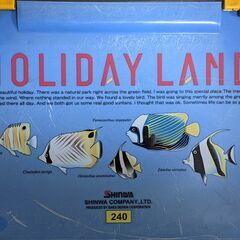 伸和 Holiday Land クーラーボックス W488 D277 H329㎜の画像