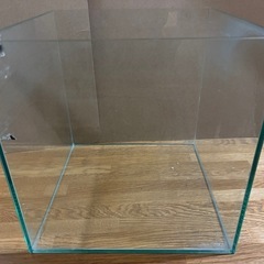 中型ガラス水槽 高透明 立方体の画像