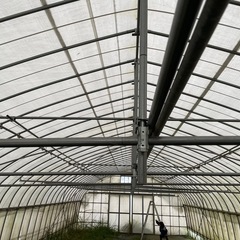 農業　ビニールハウス　間口6m×16m  補強付きの画像