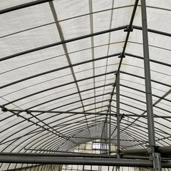 農業　ビニールハウス　間口6m×16m  補強付きの画像