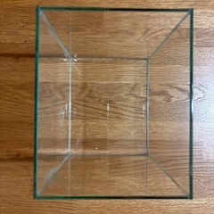 ガラス水槽 角型 透明マット付き
の画像