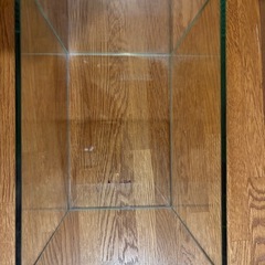 GEX ガラス水槽 直方体の画像