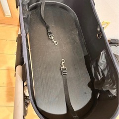 エアバギー　ペットカート　ドーム　犬　Airbuggy ドーム2 ドーム3の画像