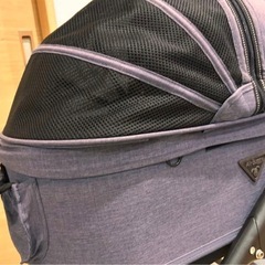 エアバギー　ペットカート　ドーム　犬　Airbuggy ドーム2 ドーム3の画像