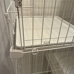 猫ゲージ　アイリスオーヤマの画像