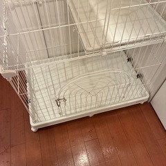 猫ゲージ　アイリスオーヤマの画像