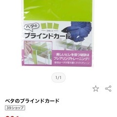 ベタのブラインドカード 3枚入り ライトグリーンの画像