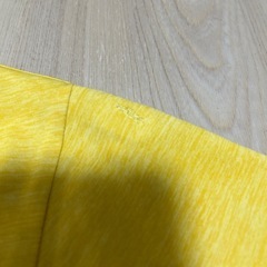 パタゴニア  Tシャツ　訳ありの画像