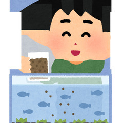 熱帯魚 オトシンクルス