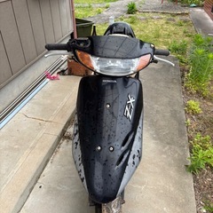 Dio zxレストアベース
の画像