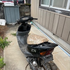 Dio zxレストアベース
の画像