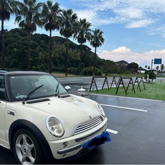 車検1年は付いてるミニ🌟