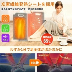 【2025冬NEWモデル】パネルヒーター 2秒で速暖 段階温度調節6段タイマーの画像