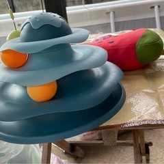 ペット　猫用　品々の画像