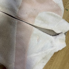 NIKEブルゾンの画像