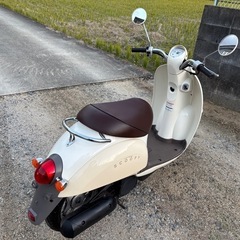 HONDAスクーピーの画像