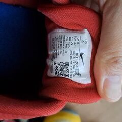 スニーカー(NIKE)の画像