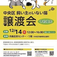 東京都中央区飼い主のいない猫譲渡会＠月島区民センター