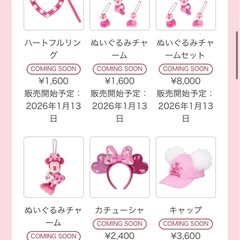 1月13 パルパルグッズ代行🐭🩷🩵の画像