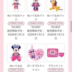 1月13 パルパルグッズ代行🐭🩷🩵の画像