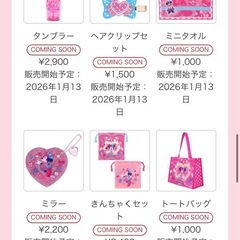 1月13 パルパルグッズ代行🐭🩷🩵の画像