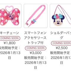 1月13 パルパルグッズ代行🐭🩷🩵の画像