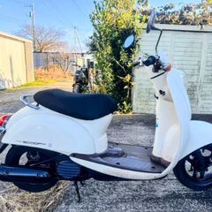 エンジンはとても良いです。ホンダ (スクーピー)。シートカバーは新品です。 ◆安い価格で安心して乗れる良いバイクを提供しています。の画像