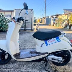 エンジンはとても良いです。ホンダ (スクーピー)。シートカバーは新品です。 ◆安い価格で安心して乗れる良いバイクを提供しています。の画像